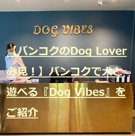 【バンコクのDog Lover必見！】バンコクで犬と遊べる『Dog Vibes』をご紹介